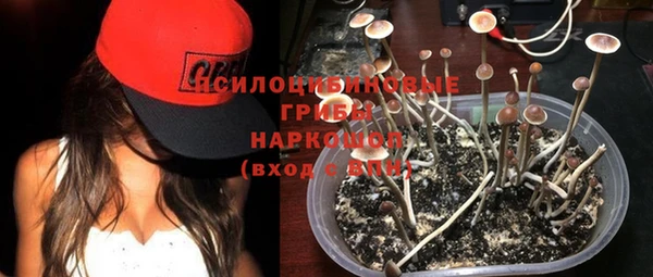 круглые Елизово