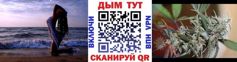 Бошки Шишки планчик  Купить где  Карачаевск 